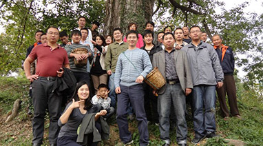 采“橘”東籬下，悠（yōu）然見南山（shān）