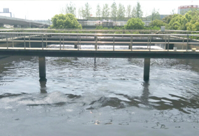 滁州（zhōu）市某化工園區汙水處（chù）理廠項（xiàng）...